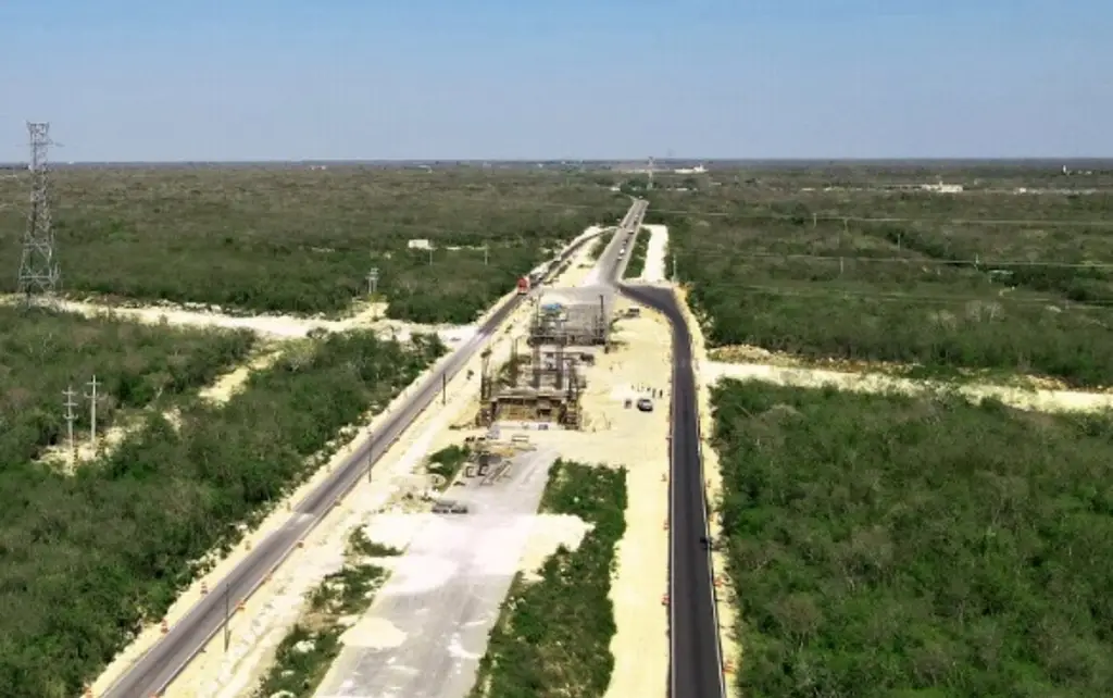 Tribunal ordena suspender tala de árboles en Tramo 5 del Tren Maya ...