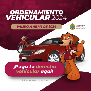 Ordenamiento vehicular 2024
