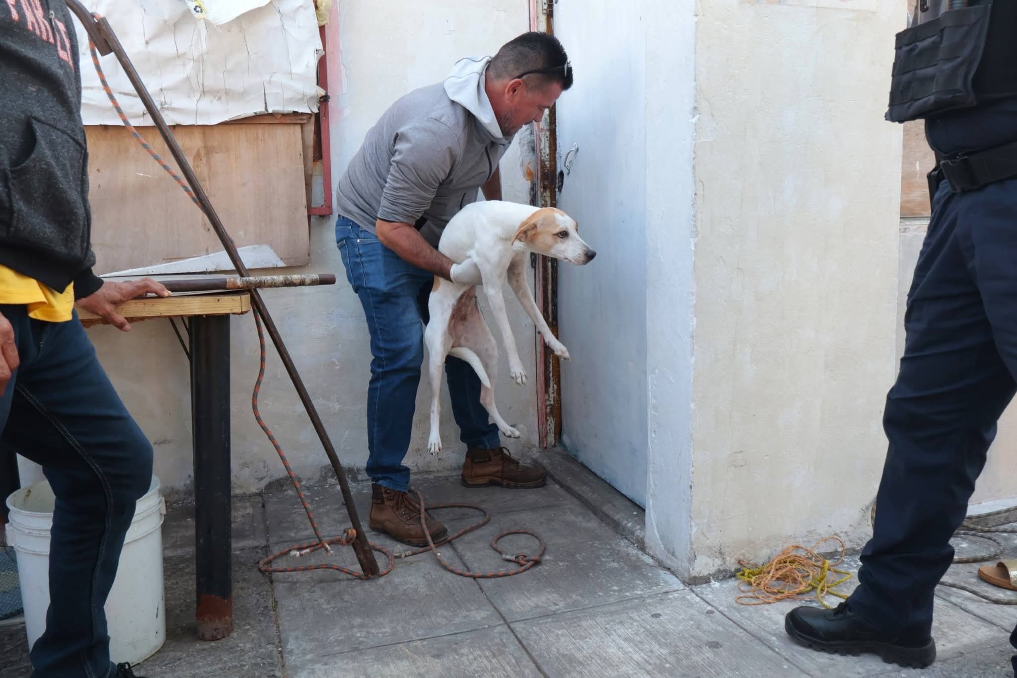 d79d846e-e449-485a-9577-3d47288bd74a